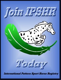 Link to International Pattern Sport Horse Registry